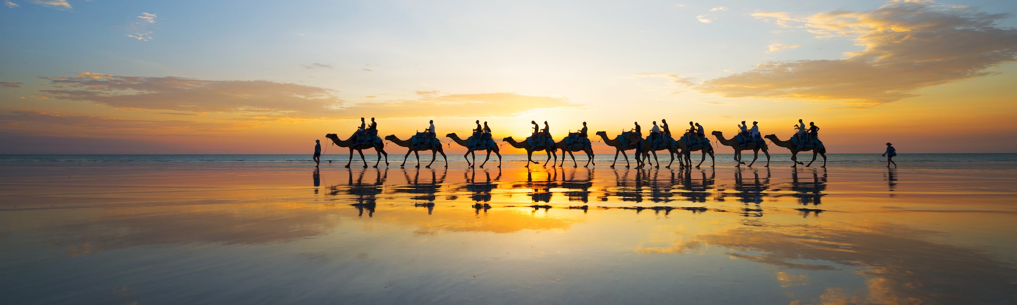 Camels at sunset on Cable Beach